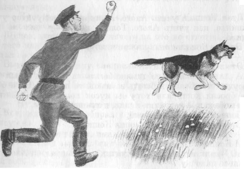 Кепка с карасями - _6.jpg