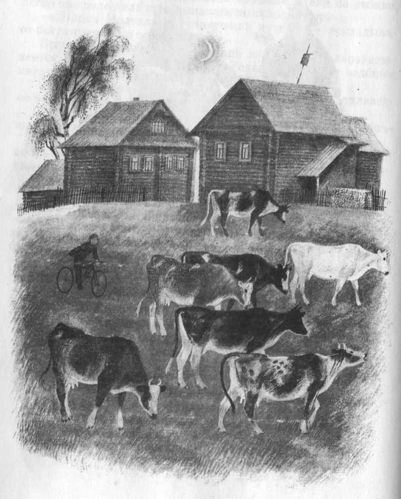 Кепка с карасями - _20.jpg