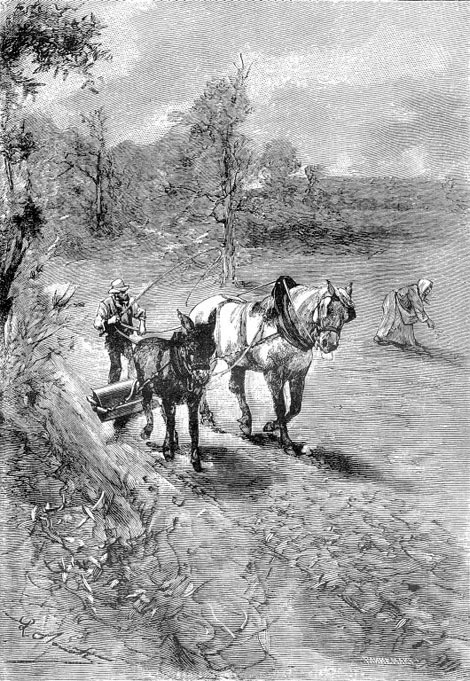 Малыш (илюстр) - _040.jpg