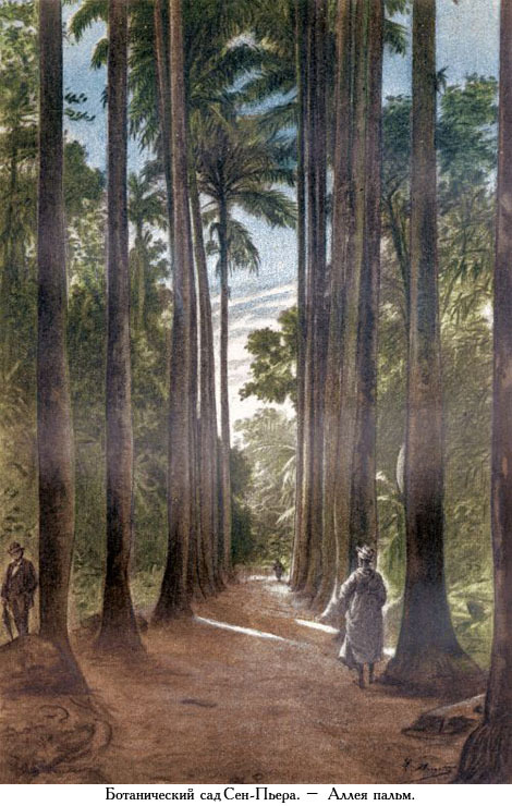 Путешествие стипендиатов (илюстр) - _052.jpg