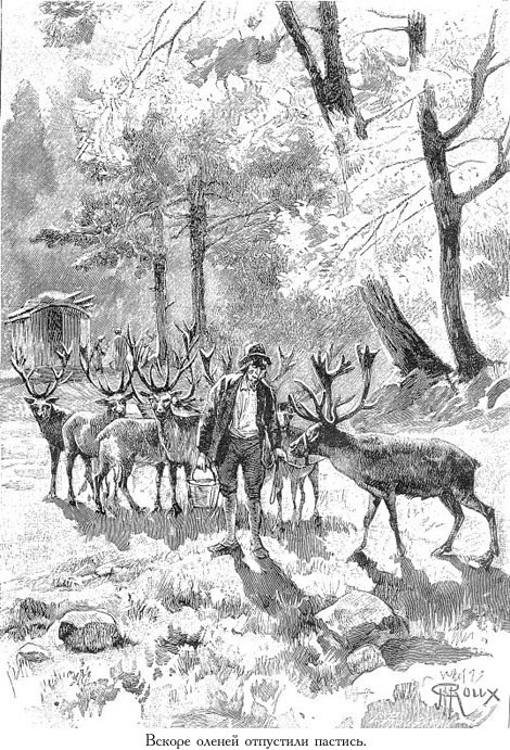 Цезарь Каскабель (иллюстр.) - _079.jpg