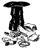 Незнайка на Луне (с иллюстрациями) - i_109.png