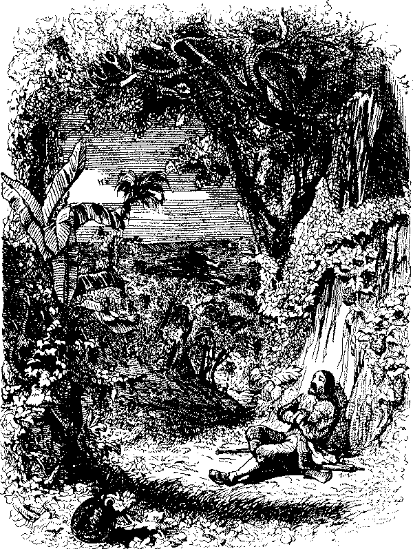 Приключения Робинзона Крузо - i_024.png