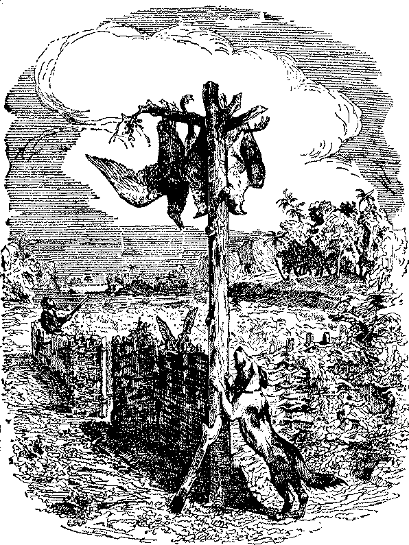 Приключения Робинзона Крузо - i_028.png