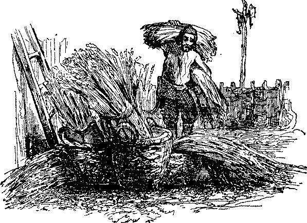 Приключения Робинзона Крузо - i_031.png