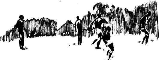 Коллекция геолога Картье - img_64.jpeg