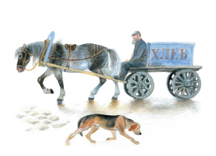 Арктур – гончий пес (сборник) - _15.jpg