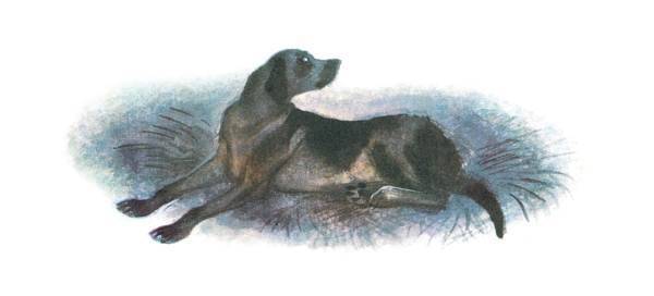 Арктур – гончий пес (сборник) - _20.jpg