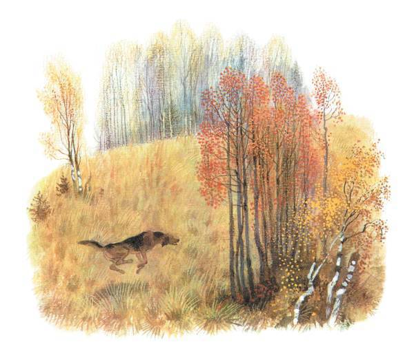 Арктур – гончий пес (сборник) - _32.jpg