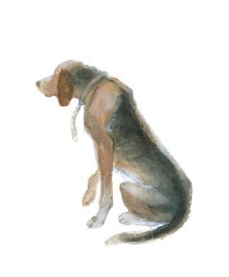 Арктур – гончий пес (сборник) - _10.jpg