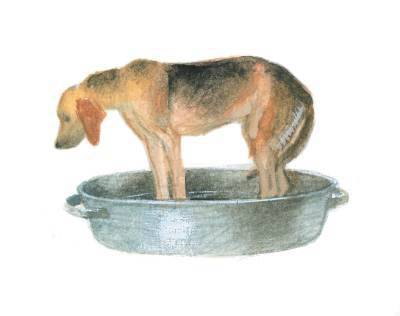 Арктур – гончий пес (сборник) - _12.jpg