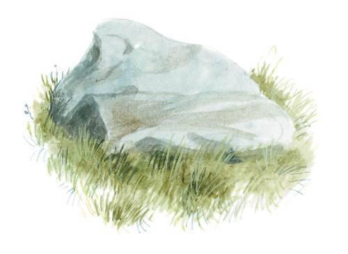 Арктур – гончий пес (сборник) - _18.jpg