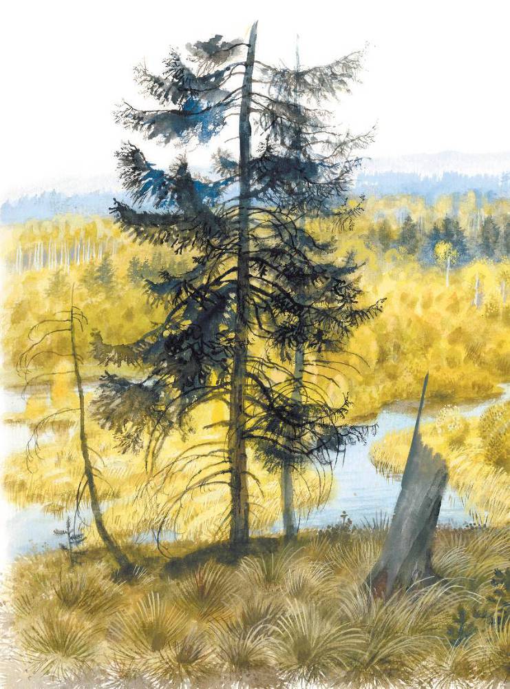 Арктур – гончий пес (сборник) - _25.jpg