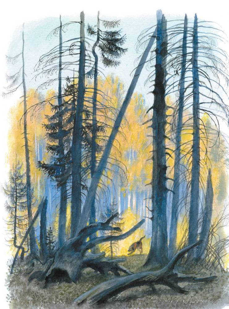 Арктур – гончий пес (сборник) - _28.jpg