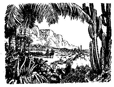 Собрание сочинений, том 1. Белый вождь. Квартеронка. - i_007.png