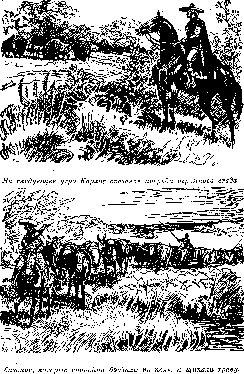 Собрание сочинений, том 1. Белый вождь. Квартеронка. - i_013.png