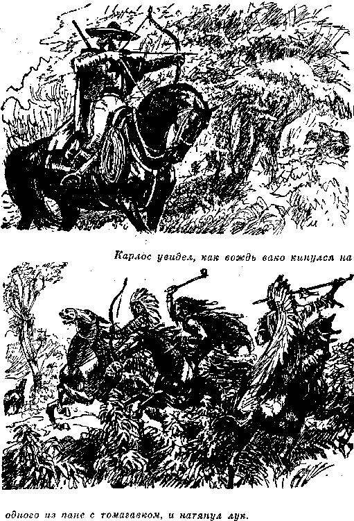 Собрание сочинений, том 1. Белый вождь. Квартеронка. - i_014.png