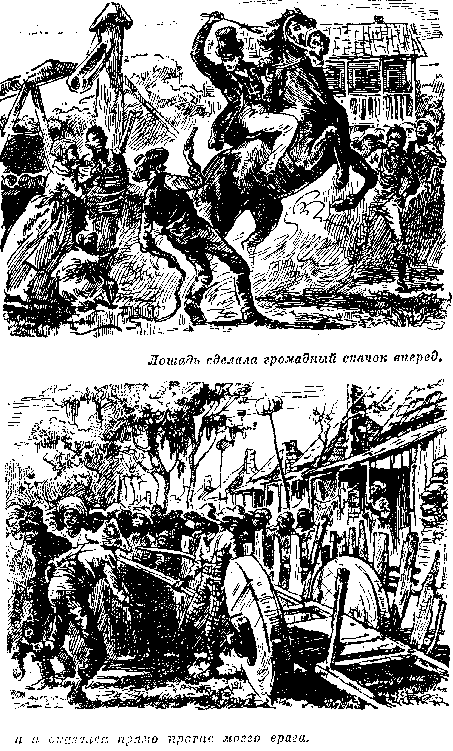 Собрание сочинений, том 1. Белый вождь. Квартеронка. - i_038.png