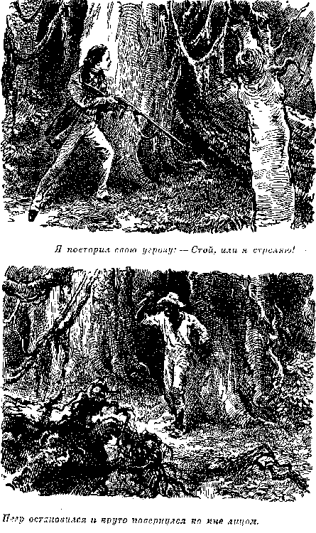 Собрание сочинений, том 1. Белый вождь. Квартеронка. - i_040.png