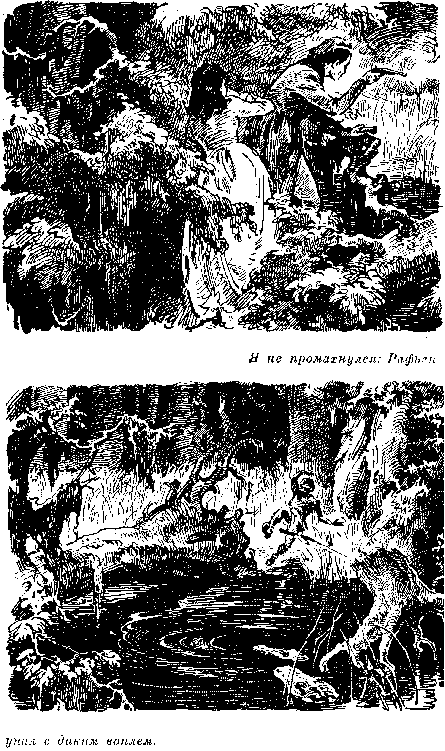 Собрание сочинений, том 1. Белый вождь. Квартеронка. - i_050.png