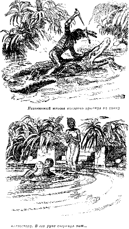 Собрание сочинений, том 2. Оцеола, вождь семинолов. Морской волчонок - i_009.png