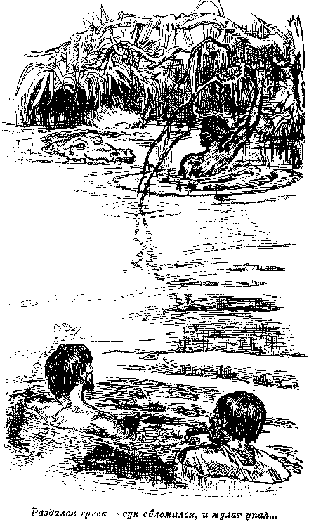 Собрание сочинений, том 2. Оцеола, вождь семинолов. Морской волчонок - i_010.png