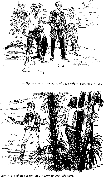 Собрание сочинений, том 2. Оцеола, вождь семинолов. Морской волчонок - i_011.png