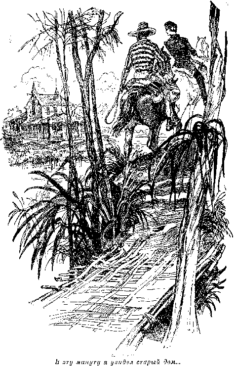 Собрание сочинений, том 2. Оцеола, вождь семинолов. Морской волчонок - i_013.png