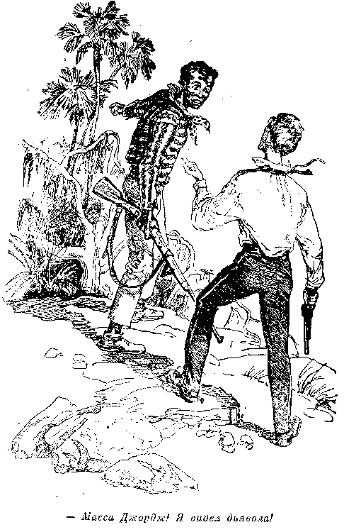 Собрание сочинений, том 2. Оцеола, вождь семинолов. Морской волчонок - i_014.png