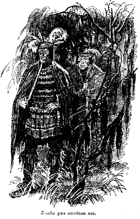 Собрание сочинений, том 2. Оцеола, вождь семинолов. Морской волчонок - i_016.png