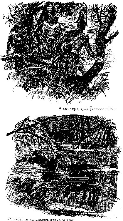 Собрание сочинений, том 2. Оцеола, вождь семинолов. Морской волчонок - i_017.png