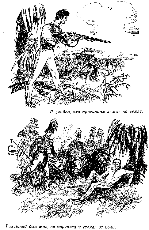 Собрание сочинений, том 2. Оцеола, вождь семинолов. Морской волчонок - i_019.png