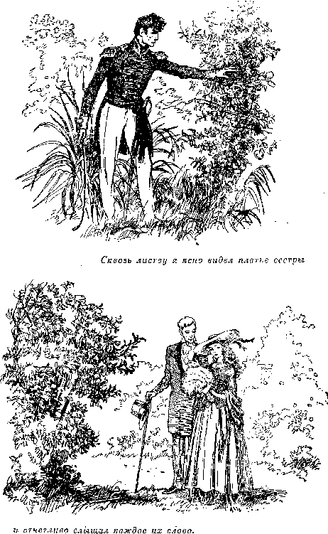 Собрание сочинений, том 2. Оцеола, вождь семинолов. Морской волчонок - i_022.png