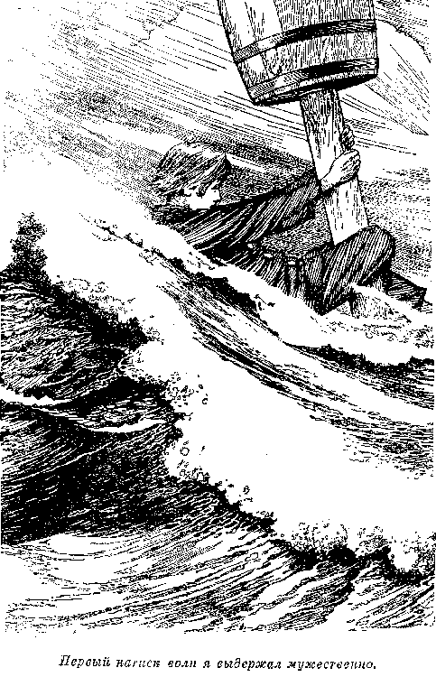 Собрание сочинений, том 2. Оцеола, вождь семинолов. Морской волчонок - i_037.png