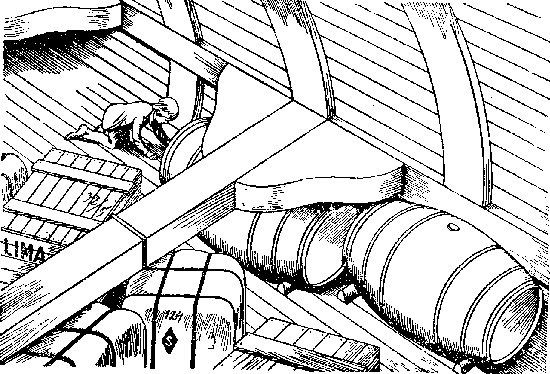 Собрание сочинений, том 2. Оцеола, вождь семинолов. Морской волчонок - i_039.png