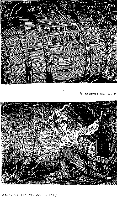 Собрание сочинений, том 2. Оцеола, вождь семинолов. Морской волчонок - i_045.png