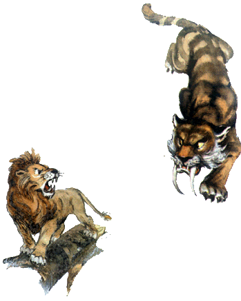 Волшебник Изумрудного города - i_024.png