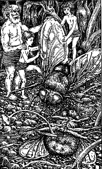 Необыкновенные приключения Карика и Вали - pic_13.png