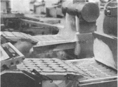 McDonald's. О чем молчит БИГМАК? - i_026.jpg