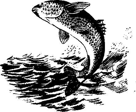 Происшествия под водой - i_045.jpg