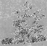 Искатель. 1980. Выпуск №6 - image012.png