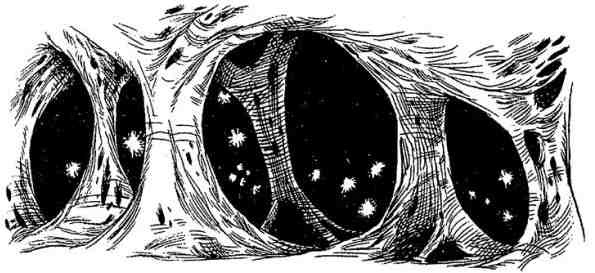 Древний странник - i_086.jpg