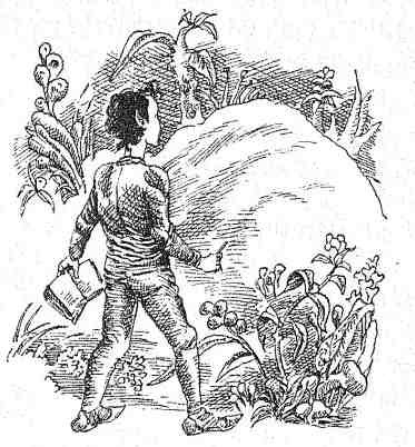 Последний воздушный пират - i_110.jpg