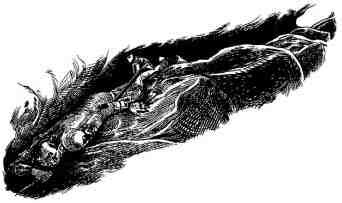 Академик Вокс - i_013.jpg