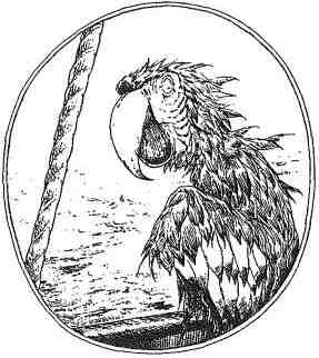 Фергус Крейн и огненные алмазы - i_124.jpg