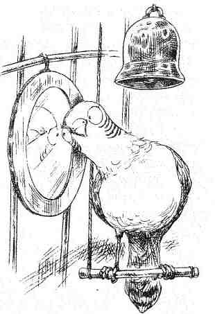 Джо Варвар и Чвокая Шмарь - i_072.jpg