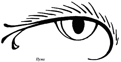 Всегда возвращаясь домой - i_002.png