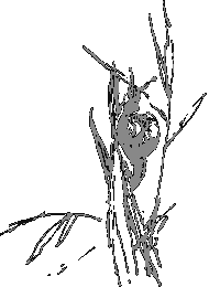 Рассказы о животных - i_006.png