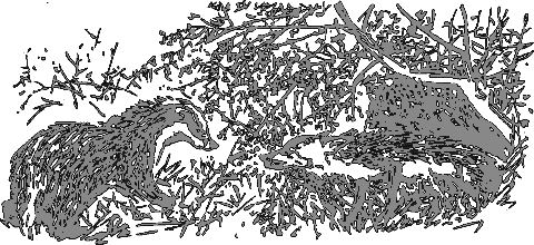 Рассказы о животных - i_009.png