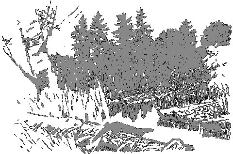 Рассказы о животных - i_013.png